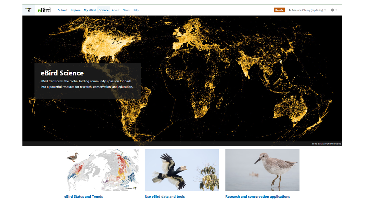 Bird Radar Image